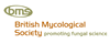 BMSlogo